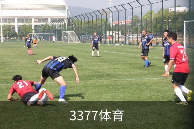 3377体育公司介绍